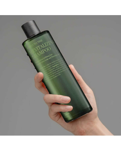 CURLYSHYLL Revitalizing Shampoo for Scalp&Hair, Ревіталізувальний шампунь, 360 мл
