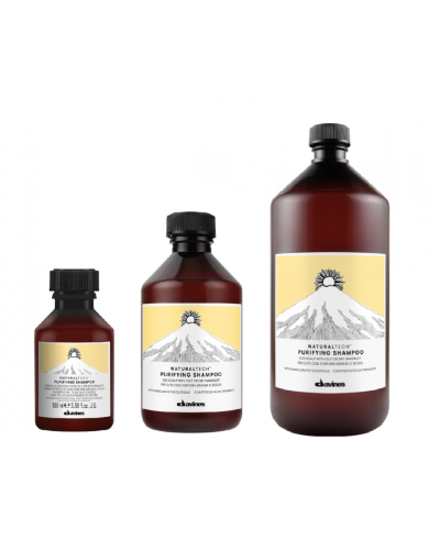 Шампунь проти лупи Davines Naturaltech Purifying Shampoo 1 л