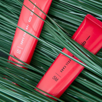 Lebel CELL CARE 5M, Крем-концентрат для зволоження волосся, 40 мл