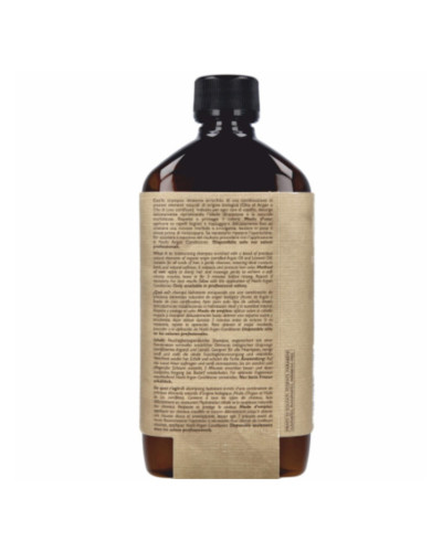Шампунь для всіх типів волосся — Nashi Argan CLASSIC Shampoo — 1000 мл