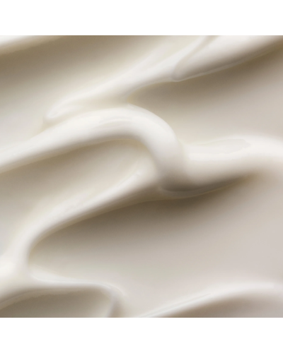 Интенсивный восстанавливающий уход Olaplex N°.3 PLUS Complete Repair Treatment 100 мл