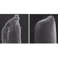 Olaplex №4 Bond Maintenance Shampoo Шампунь для всіх типів волосся 250 мл