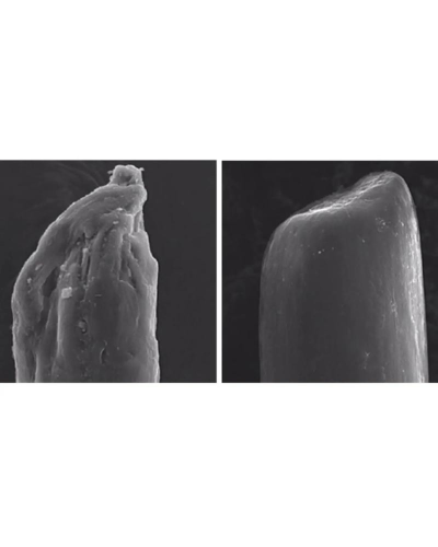 Шампунь для відновлення волосся Olaplex No.4 Bond Maintenance Shampoo 250 мл