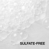 REDKEN Frizz Dismiss шампунь для розгладжування та  дисципліни волосся 300 мл