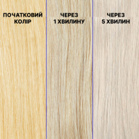 REDKEN Color Extend Blondage, Шампунь для нейтралізації небажаної жовтизни освітленого волосся, 300 мл