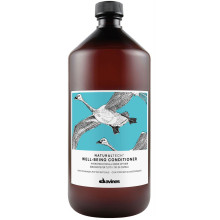 Davines WELL-BEING зволожуючий кондиціонер для всіх типів волосся 1000 мл