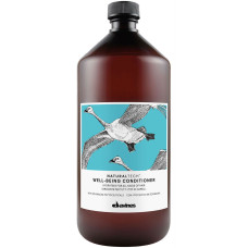 Davines WELL-BEING зволожуючий кондиціонер для всіх типів волосся 1000 мл