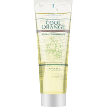 Lebel Сool Orange Cleansing Очиститель для жирной кожи головы 240 гр