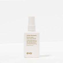 evo Mister Fantastic Blowout Spray [mr.фантастик] універсальний стайлінг-спрей 50 мл