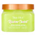 Tree Hut Rainbow Sherbet Sugar Scrub, скраб для тела, 510 г