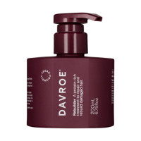 DAVROE Argan Oil Instant Treatmentt, відновлювальний засіб для волосся з аргановою олією