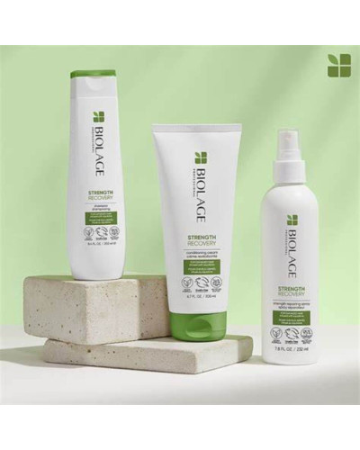 BIOLAGE Professional Strenght Recovery Shampoo, шампунь для зміцнення пошкодженого волосся, 250 мл