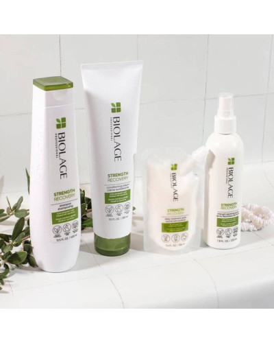 BIOLAGE Professional Strenght Recovery Shampoo, шампунь для зміцнення пошкодженого волосся, 250 мл