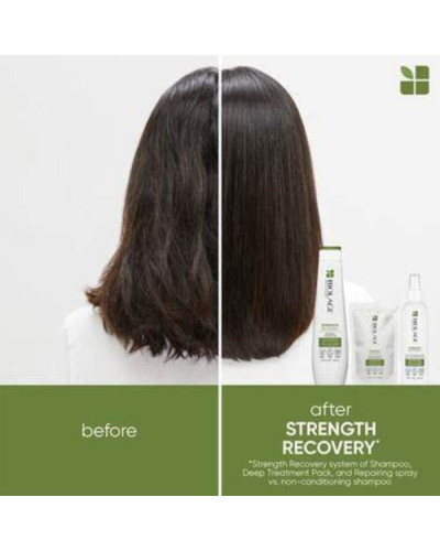 BIOLAGE Professional Strenght Recovery Shampoo, шампунь для зміцнення пошкодженого волосся, 250 мл