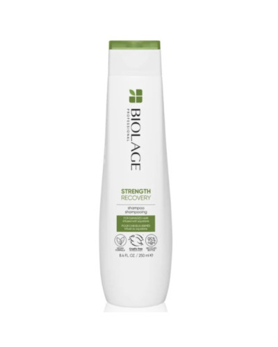 BIOLAGE Professional Strenght Recovery Shampoo, шампунь для зміцнення пошкодженого волосся, 250 мл
