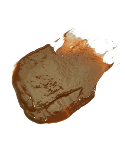 Evo Fabuloso Caramel Colour Intensifying Conditioner, тонирующий бальзам-уход карамель, 30 мл