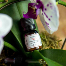 MURAN Energy 04 Energizing Essence for Hair Loss, енергетичний концентрат проти випадіння волосся, 7х7 мл